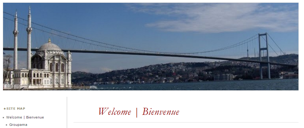 Portfolio_International_Meeting